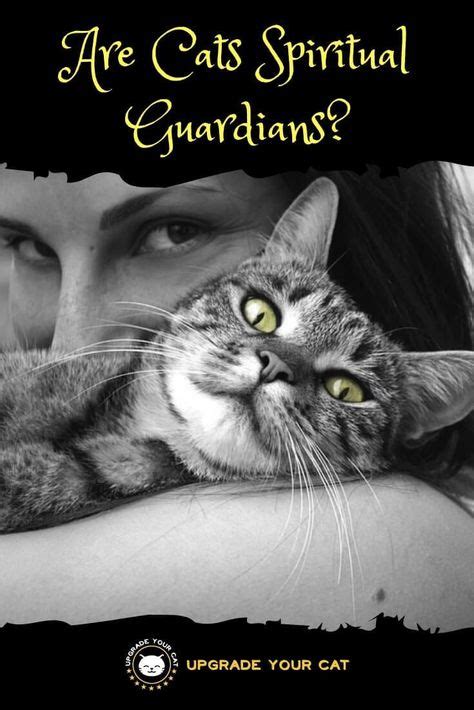 Cat Familiars: Companions of Pagan Practitioners